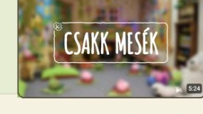 Az izgága társbérlő